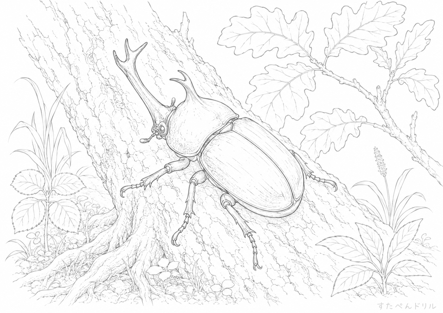 木の幹にいるカブトムシ カブトムシのぬりえプリント PDF無料ダウンロード