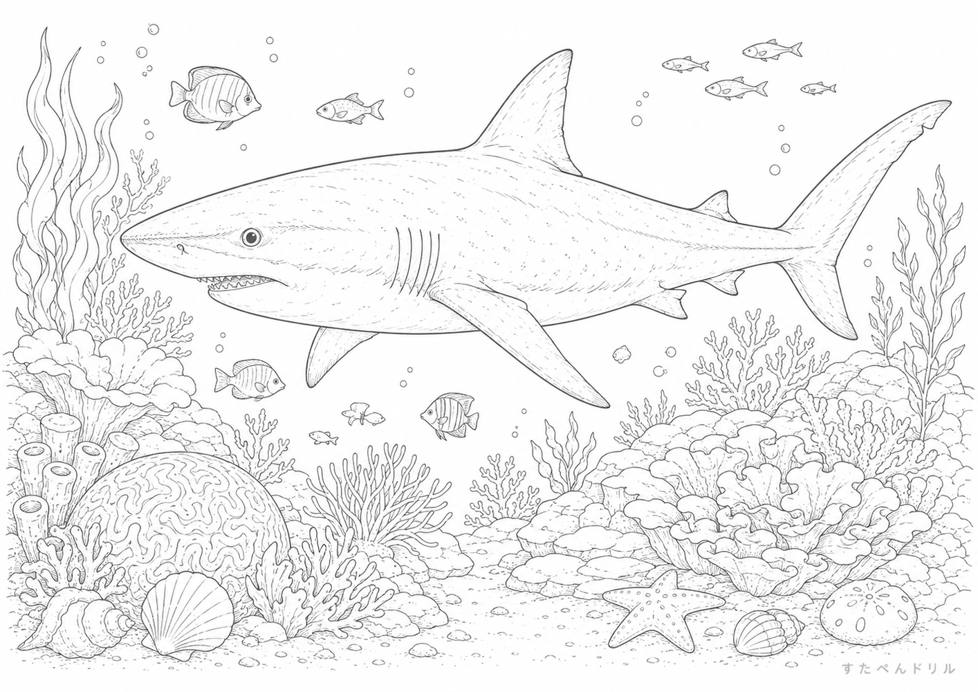 リアルなサメとサンゴ礁の塗り絵 サメ ぬりえ 無料プリント A4 PDF
