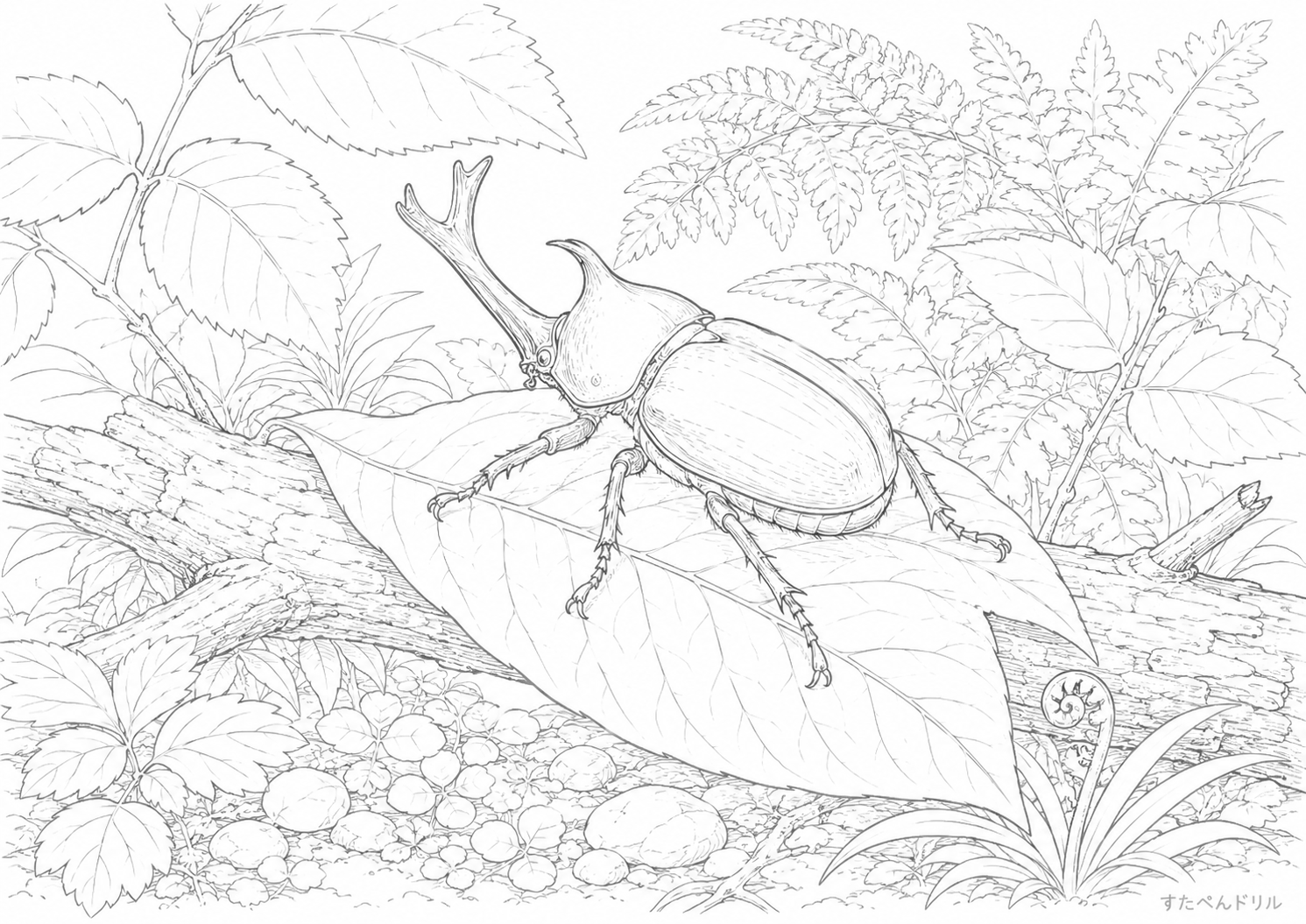 森の落ち葉とカブトムシ カブトムシのぬりえプリント PDF無料ダウンロード