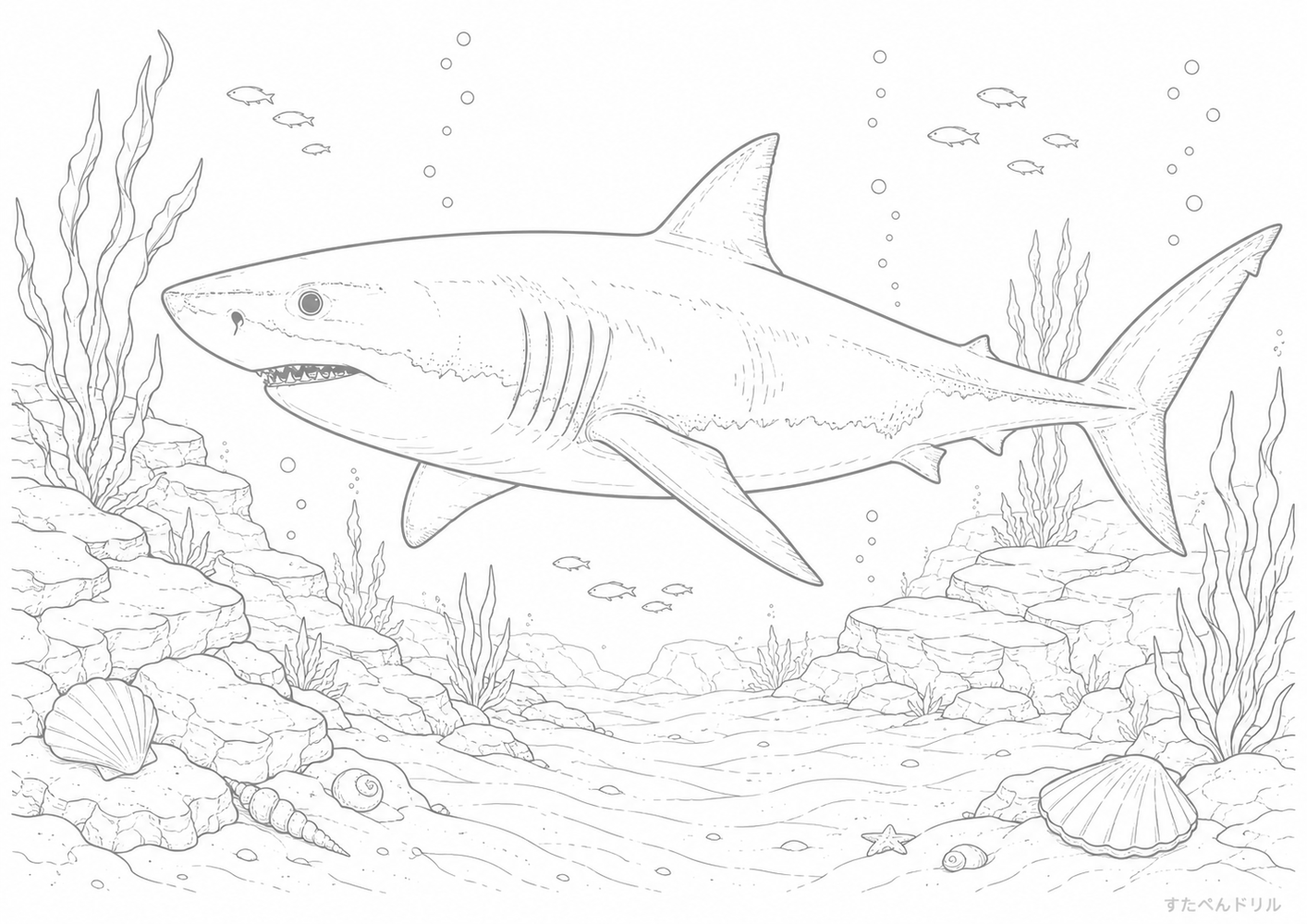 海藻の中を泳ぐサメ塗り絵 サメ ぬりえ 無料プリント A4 PDF