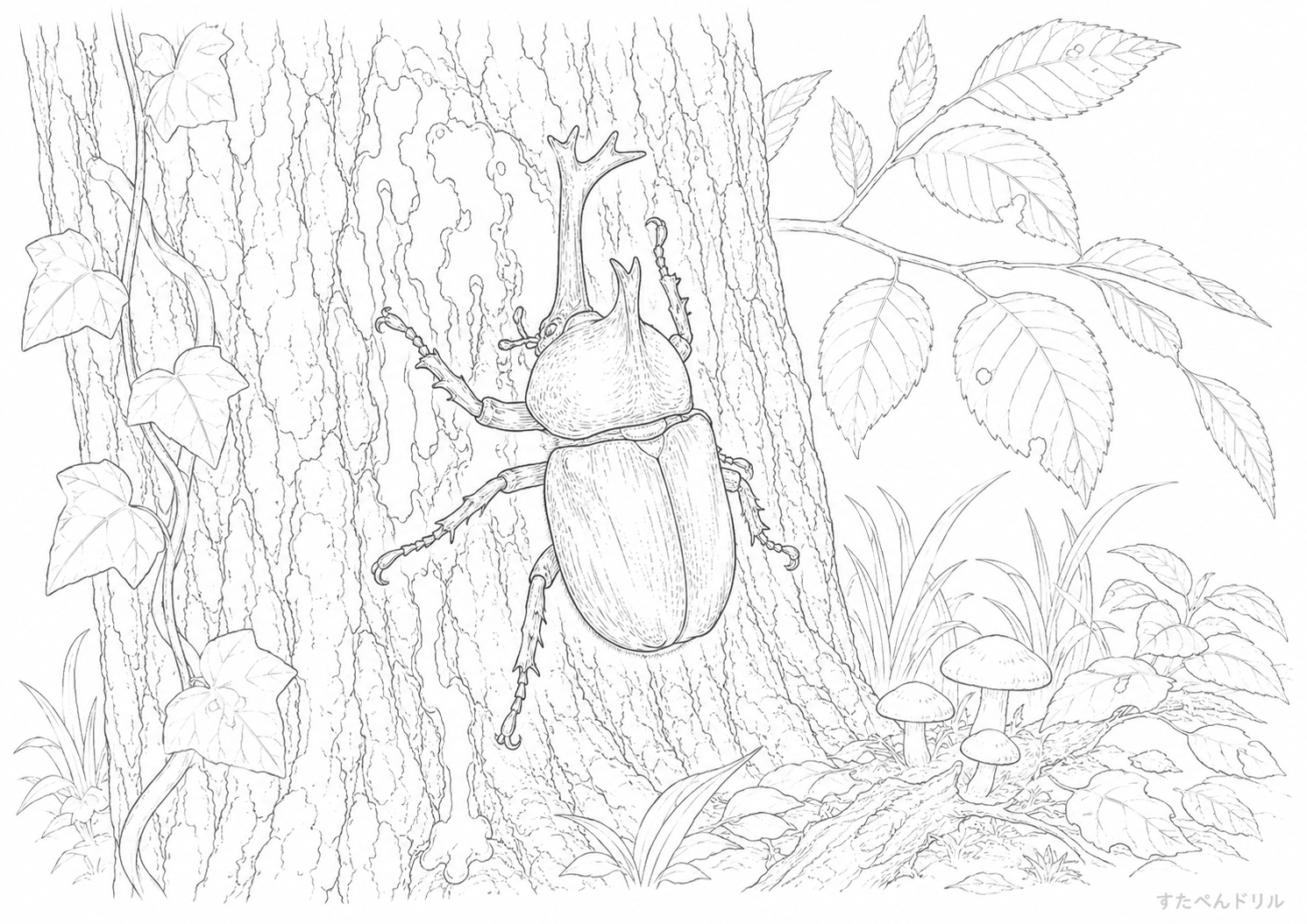 樹液に集まるカブトムシ カブトムシのぬりえプリント PDF無料ダウンロード