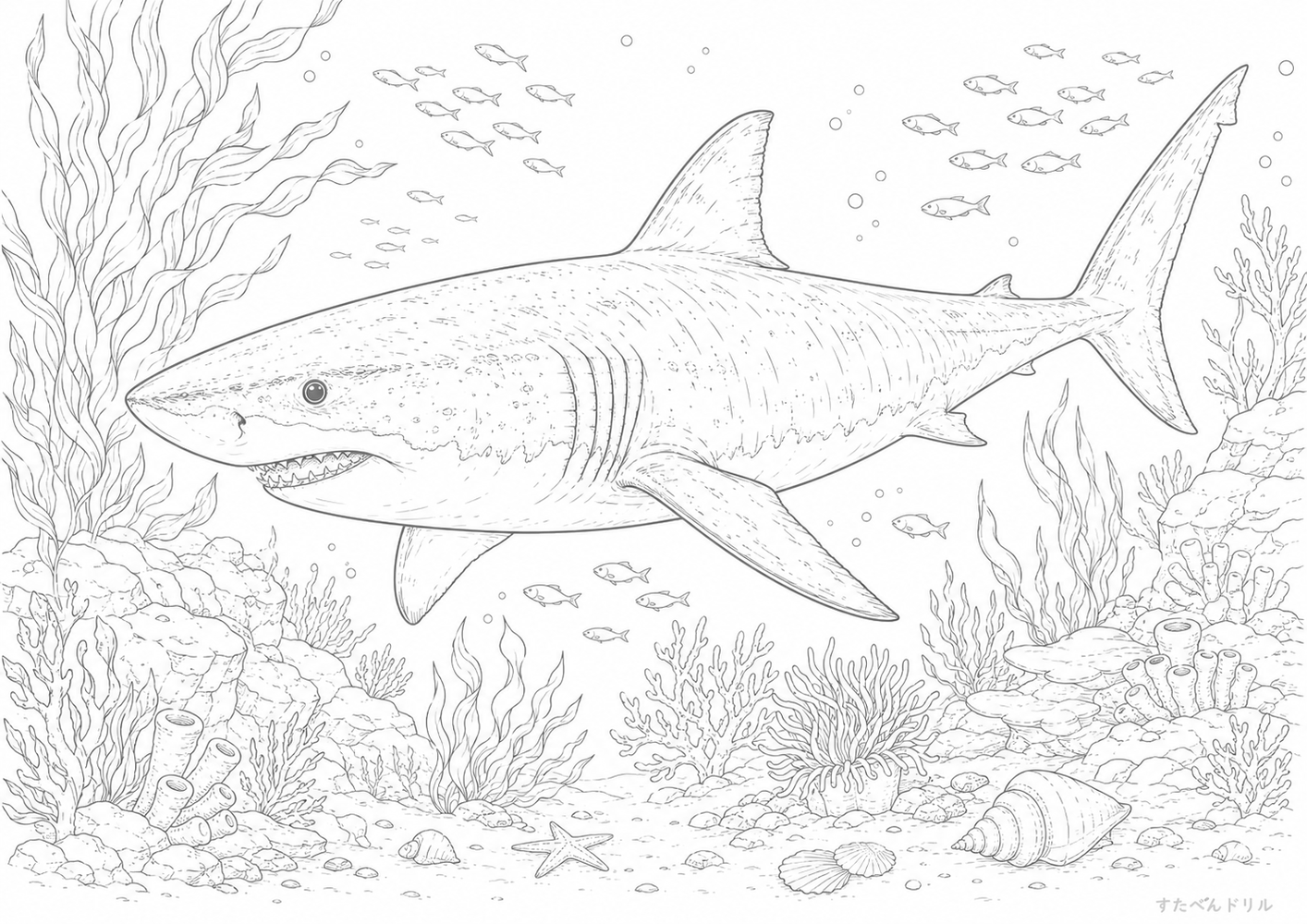海底とサメのリアル塗り絵 サメ ぬりえ 無料プリント A4 PDF