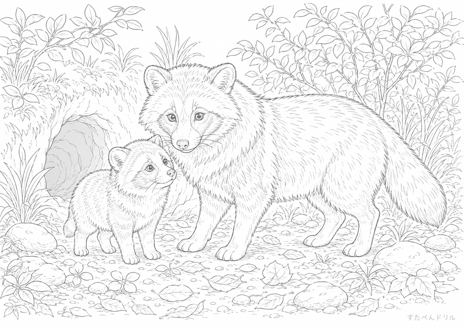 森の親子たぬき塗り絵プリント