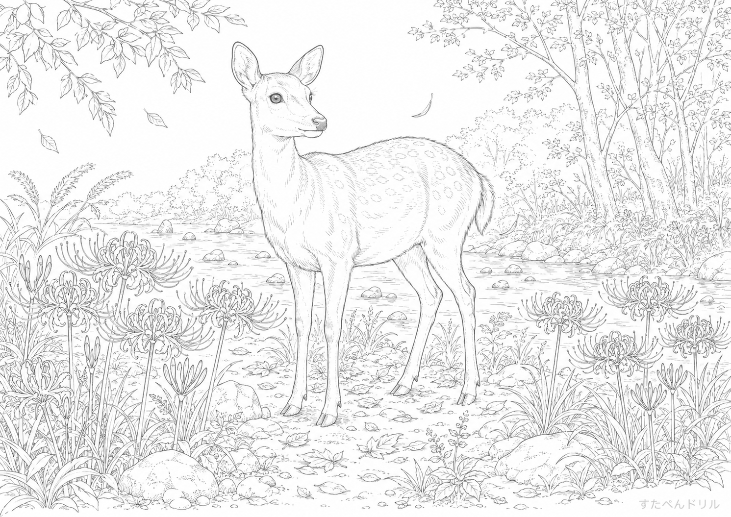 彼岸花と鹿の川辺の9月塗り絵PDF