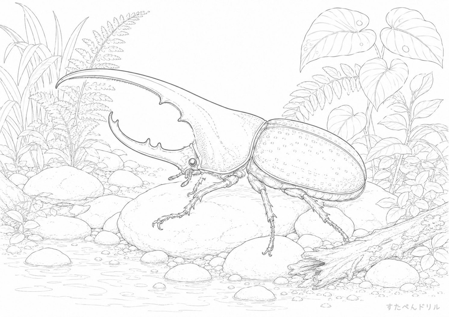 森の小川とヘラクレスオオカブトの塗り絵PDF