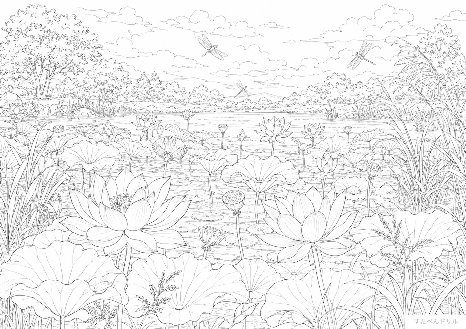 蓮の池 夏の塗り絵無料PDF