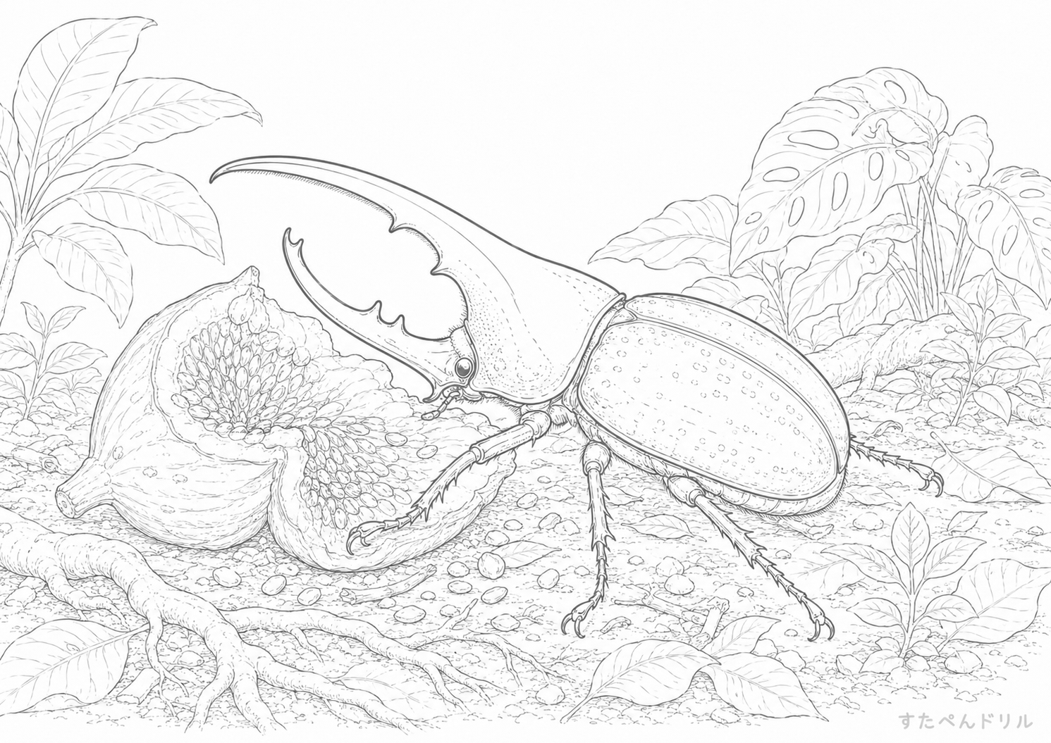 森の果実とヘラクレスオオカブトのリアル塗り絵