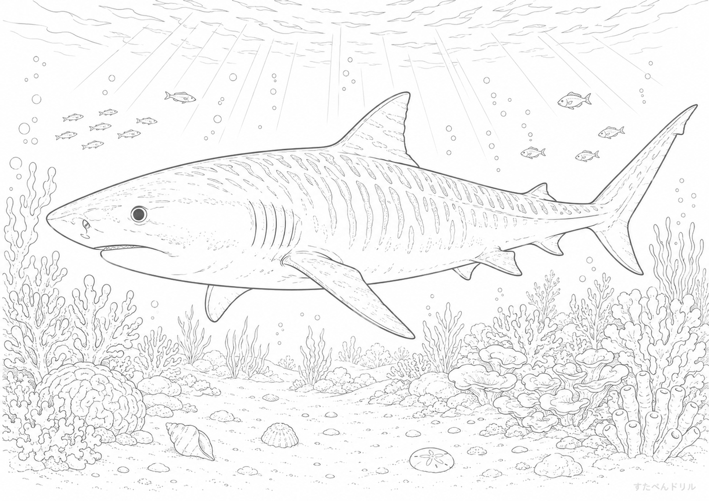 イタチザメ風のリアル塗り絵 サメ ぬりえ 無料プリント A4 PDF