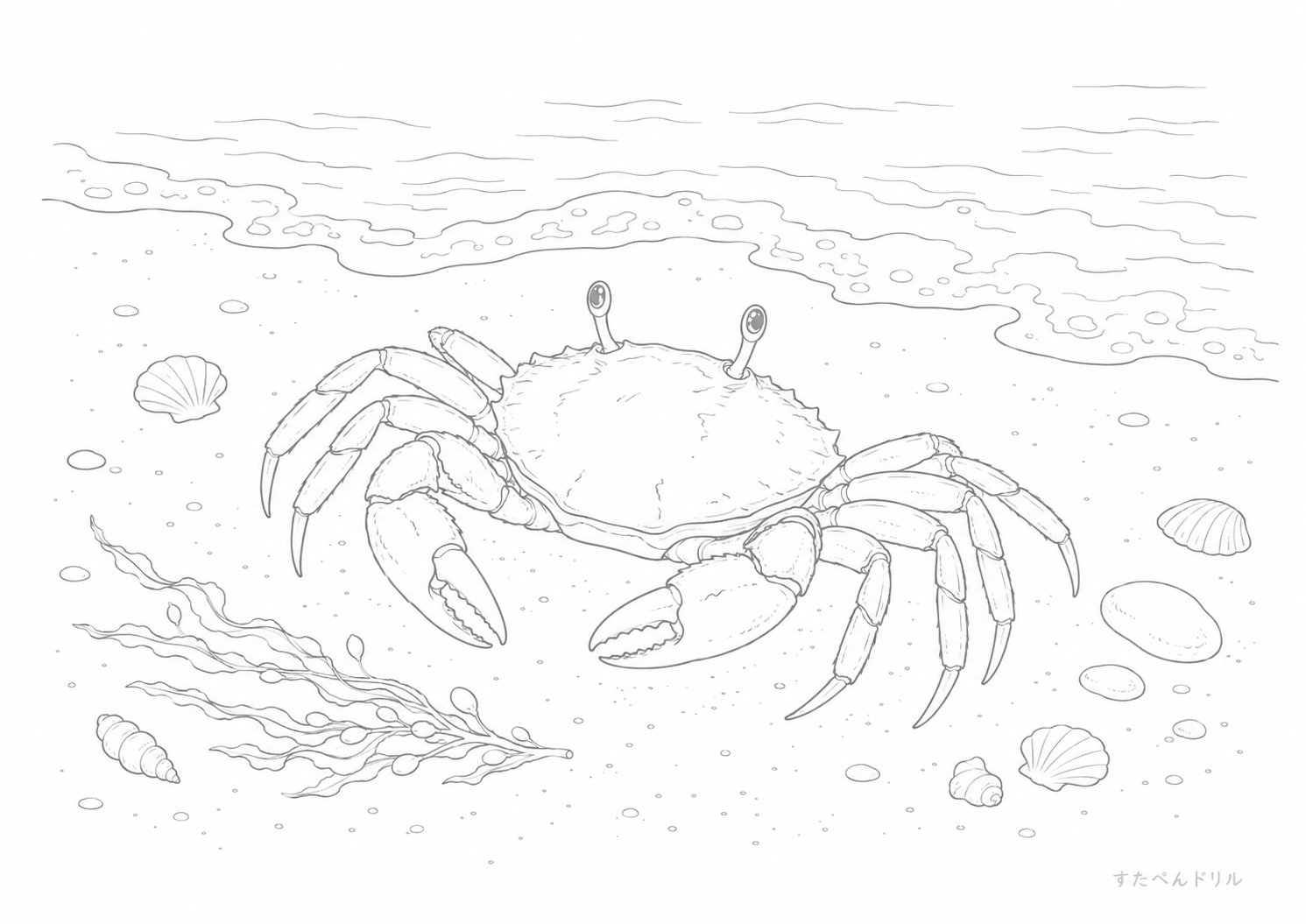 リアルな砂浜のカニぬりえ 無料プリント A4 PDF