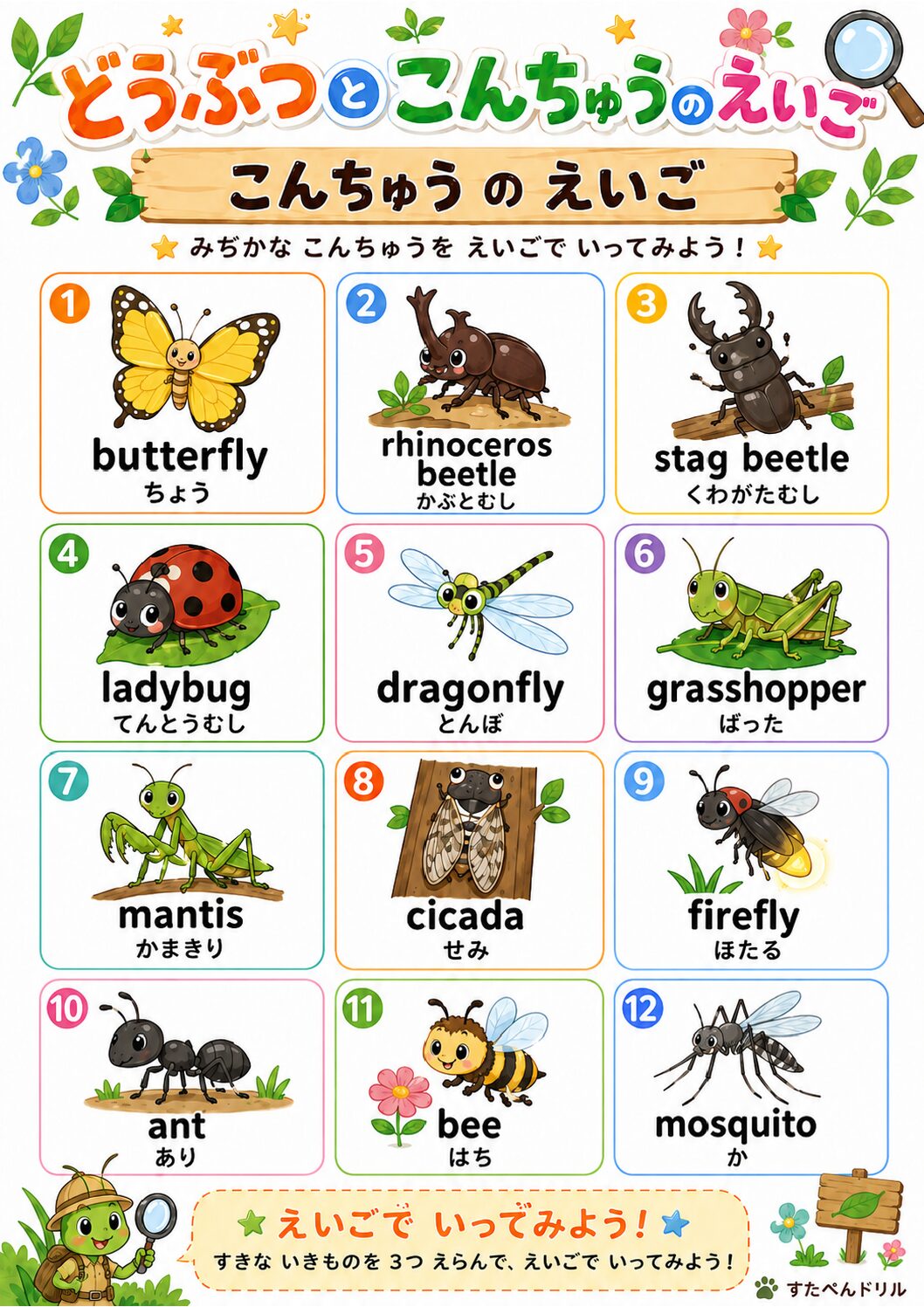 動物・昆虫の英語ポスター 昆虫