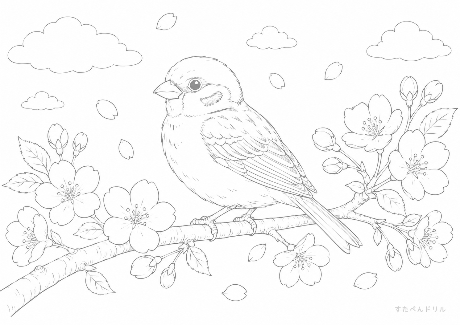 4月 ぬりえ さくらの枝の小鳥 無料プリント PDF