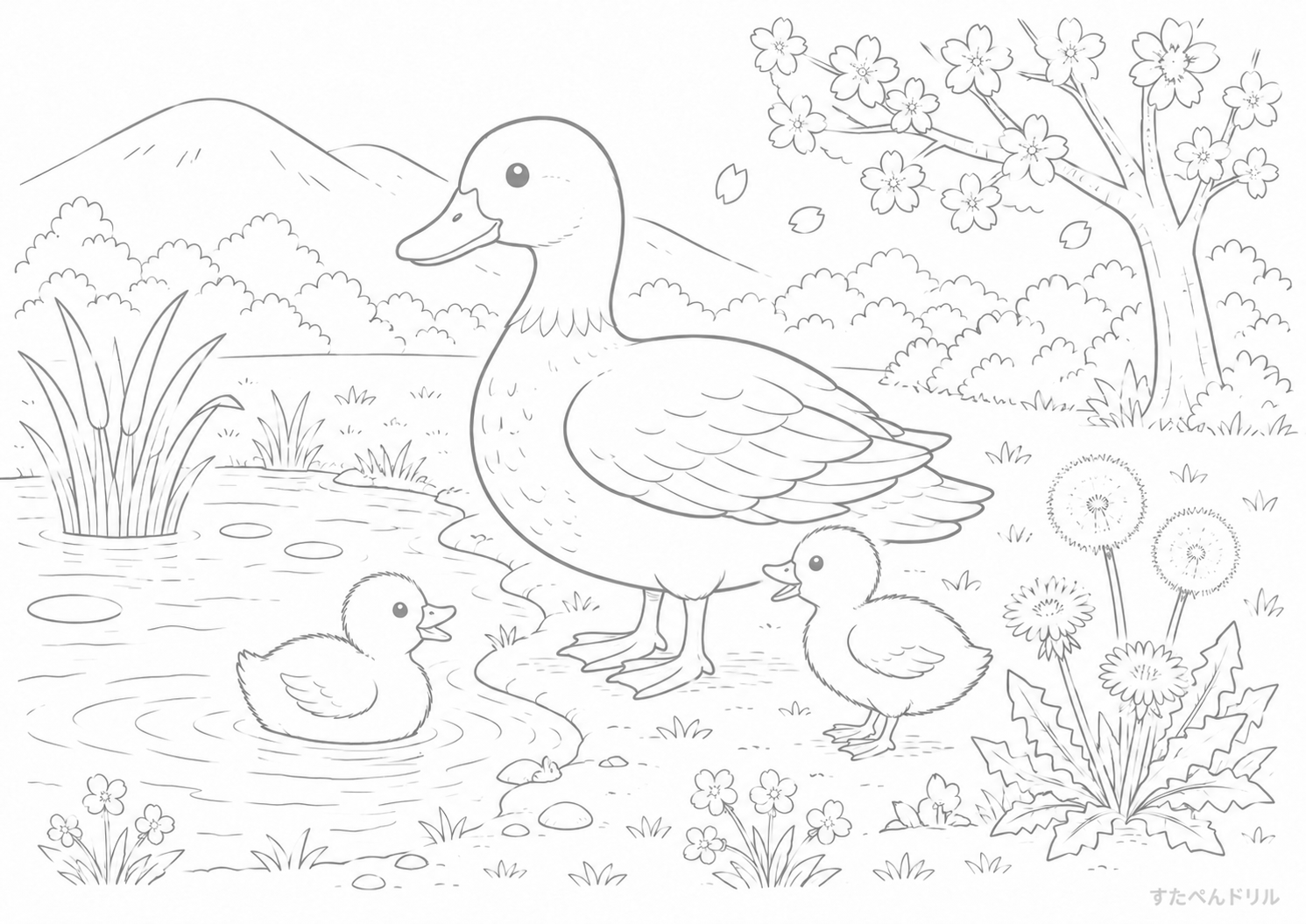 4月 ぬりえ あひる親子の春の池 無料プリント PDF