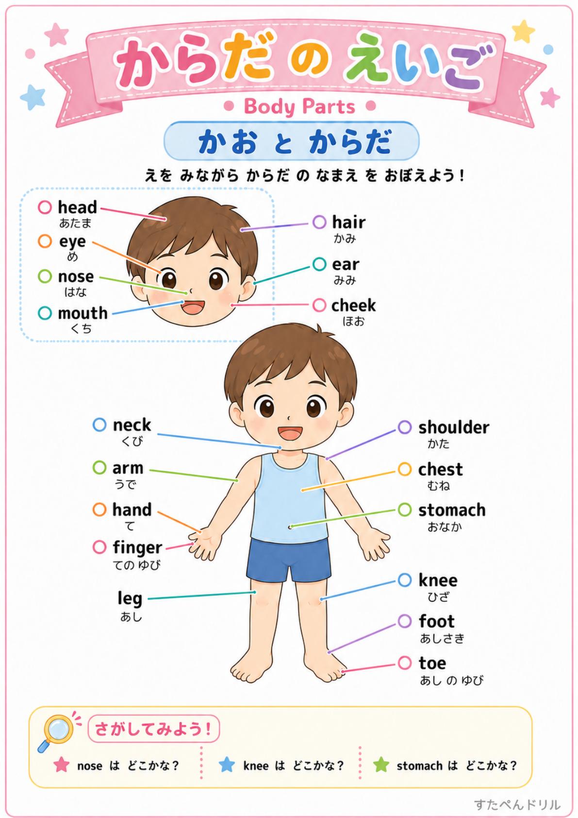 体の部位 英語 顔と全身のbody partsポスター