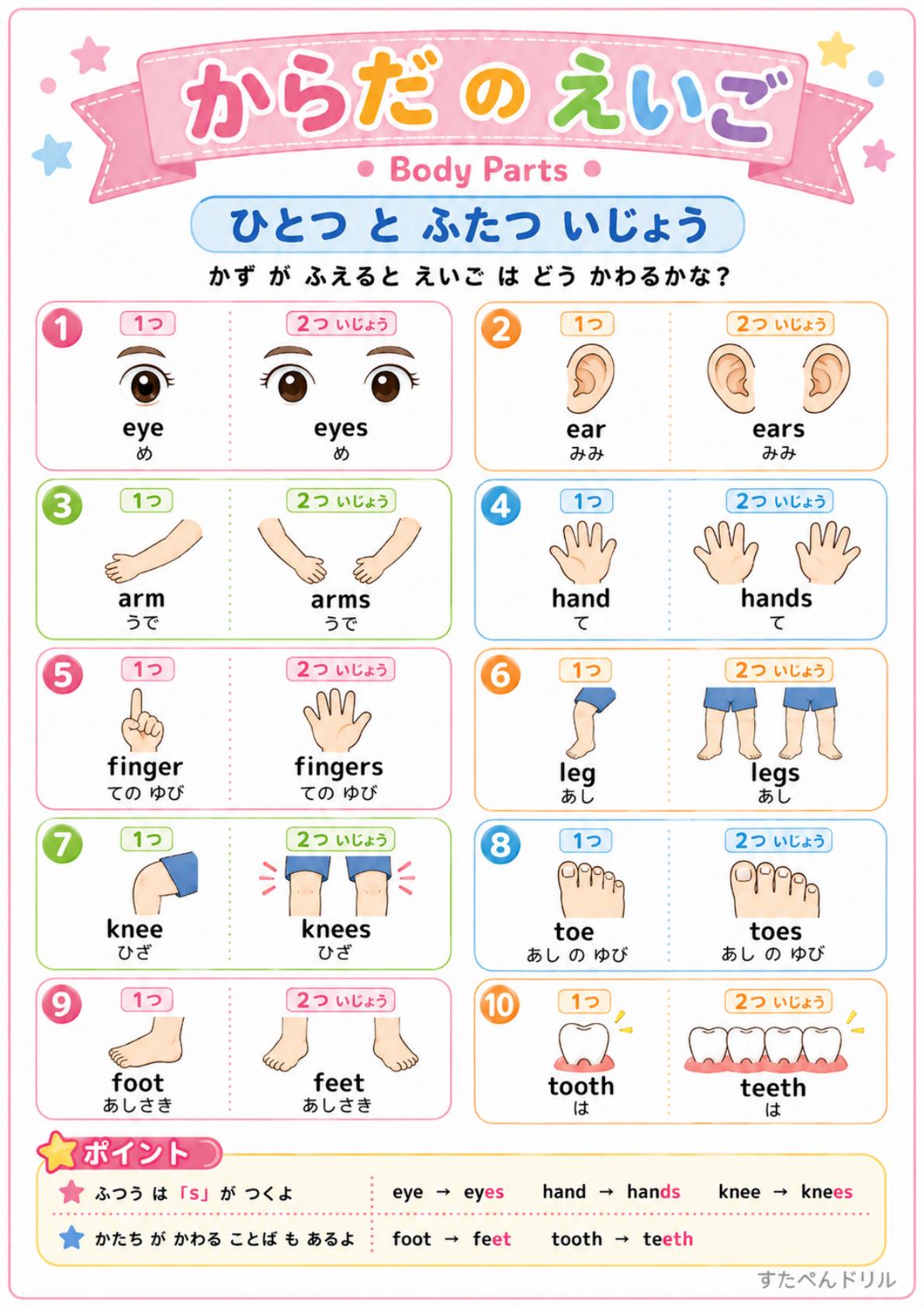 体の部位 英語 単数形と複数形のbody partsポスター