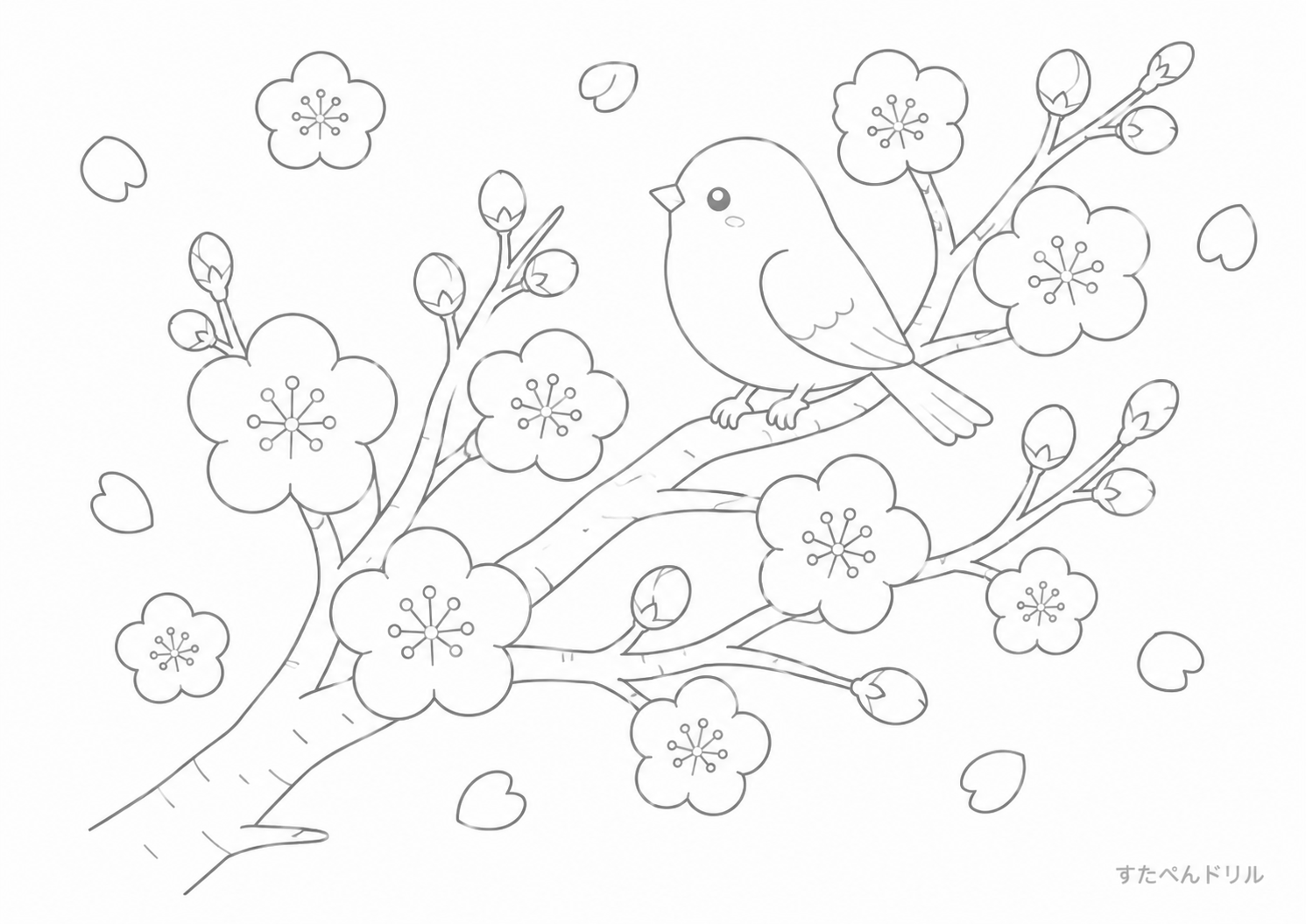 2月のぬりえ 梅の花と小鳥のイラスト 無料PDFプリント
