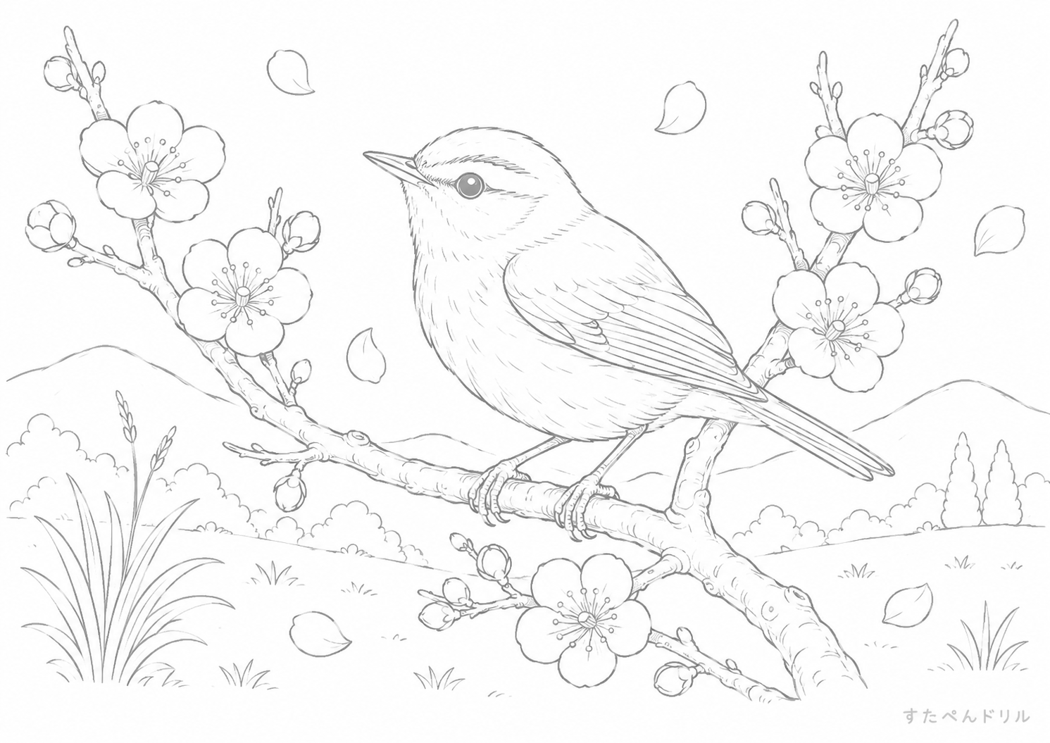2月のぬりえ 春の鳥と花の風景 無料PDFプリント