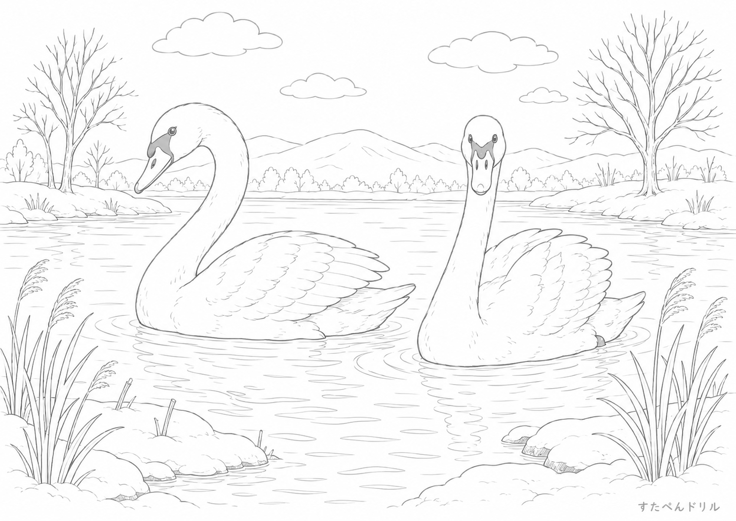 冬の湖と白鳥 1月 ぬりえ 塗り絵 無料プリント PDF