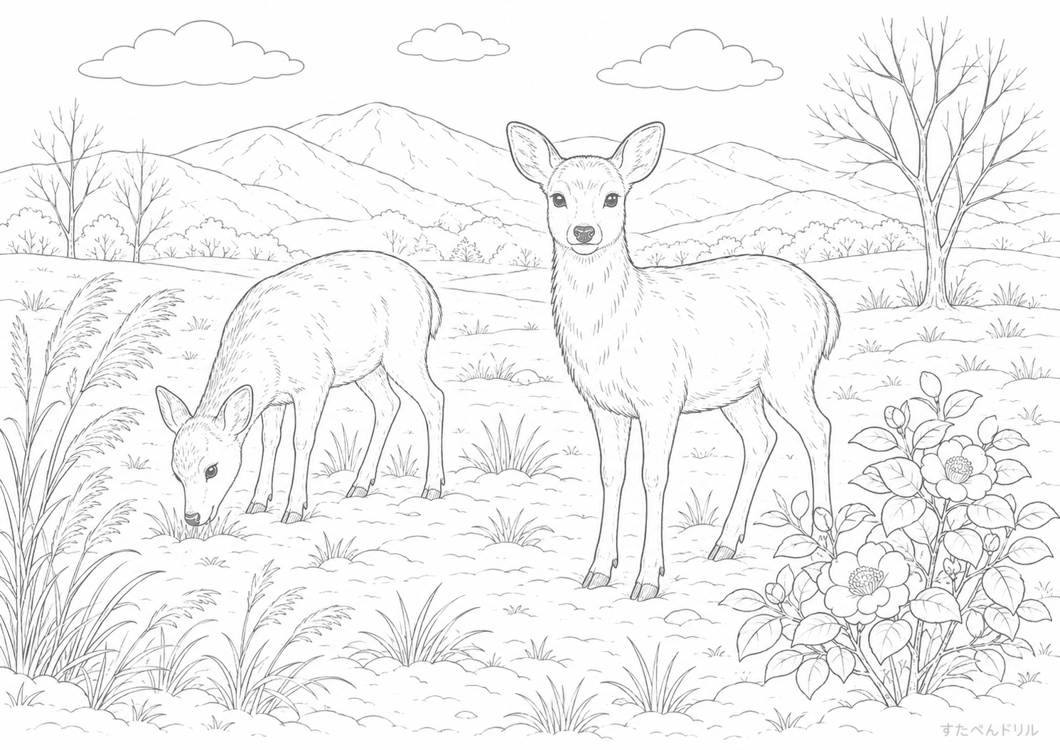 雪景色の中の2頭の鹿 1月 ぬりえ 塗り絵 無料プリント PDF