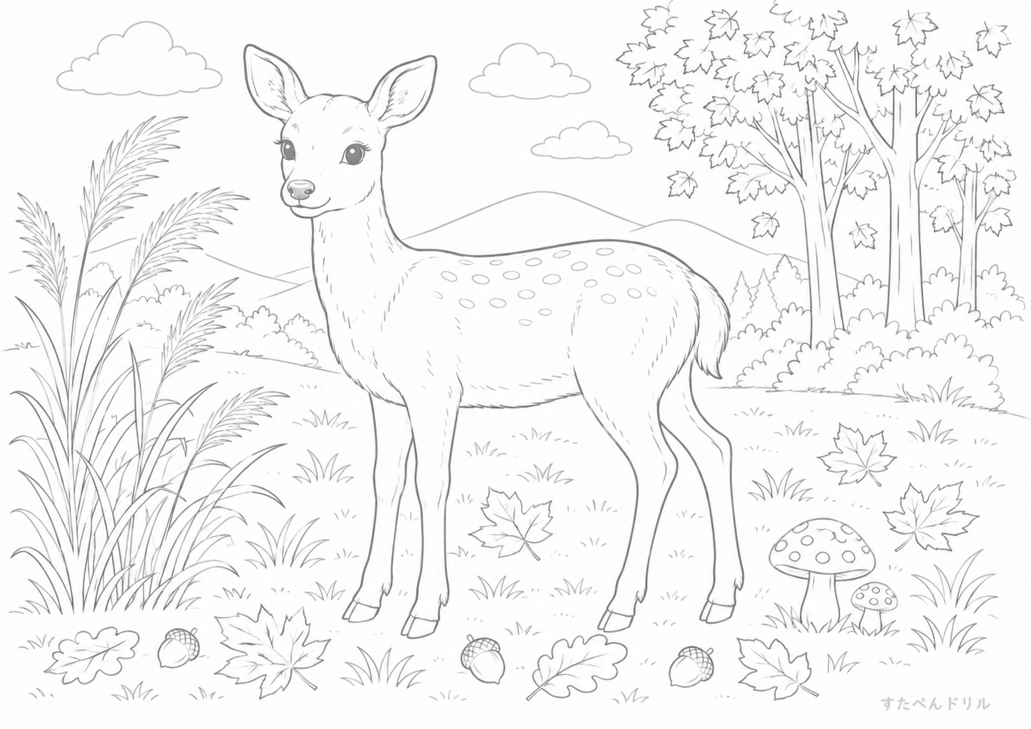 秋の鹿 リアル系 10月のぬりえ 塗り絵無料プリント PDFダウンロード