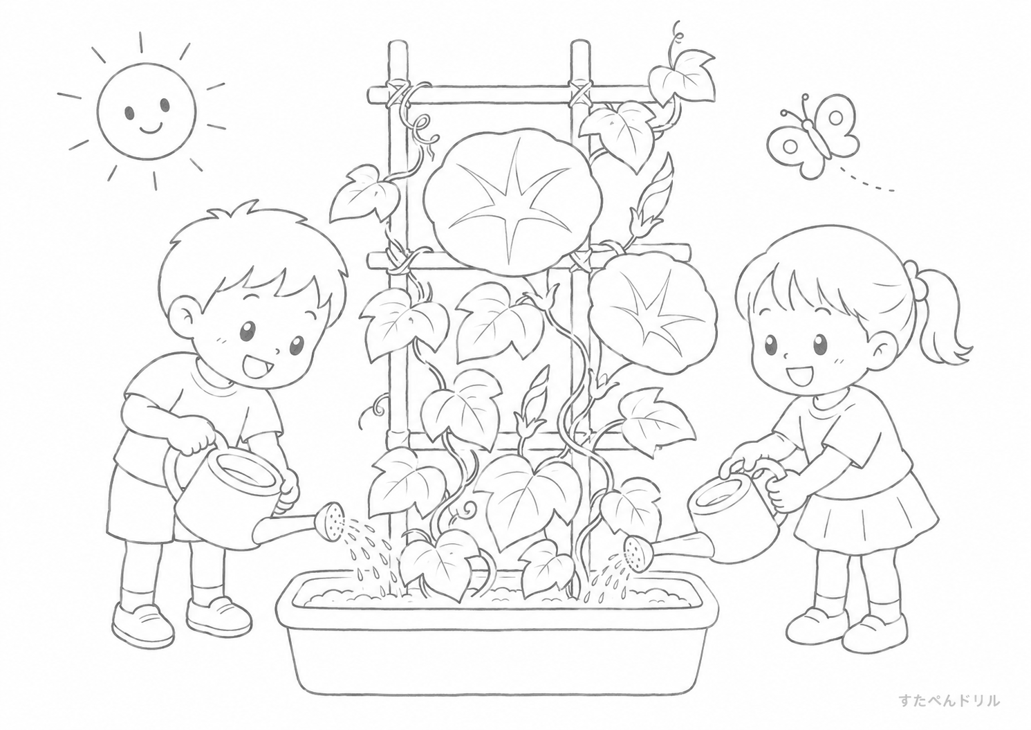 朝顔の観察 夏のぬりえ・塗り絵プリント A4 PDF無料ダウンロード