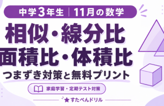 中学3年生11月の数学 相似・線分比・面積比・体積比